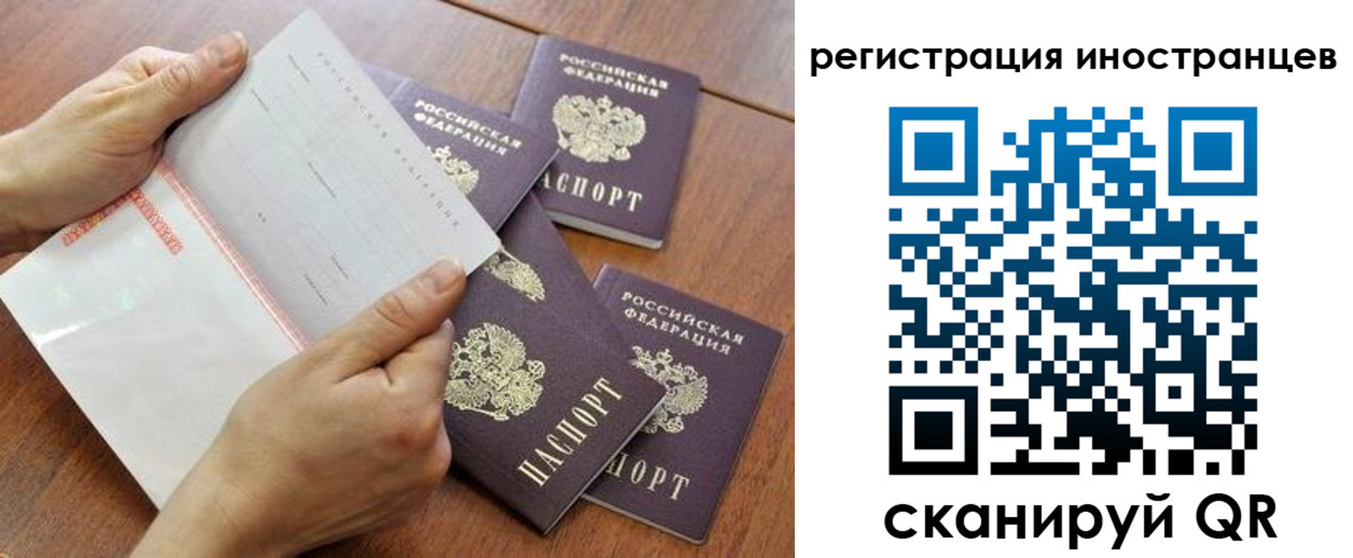 прописка поиск в Курганинске